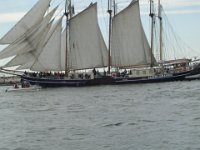 Hanse sail 2010.SANY3859